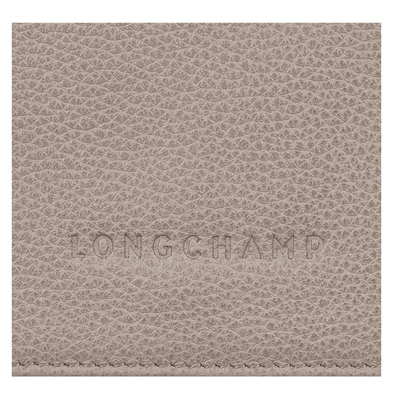 Turtledove Grey Men's Longchamp Le Foulonné Wallets | 806342-TCX